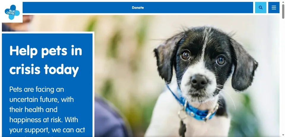 Blue Cross — Official website screenshot